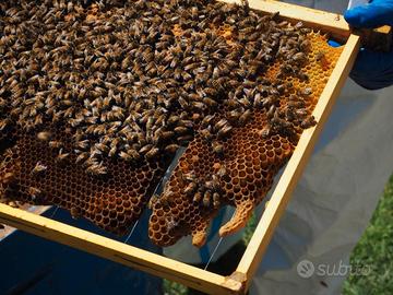 Terreno Parma,bosco,collina