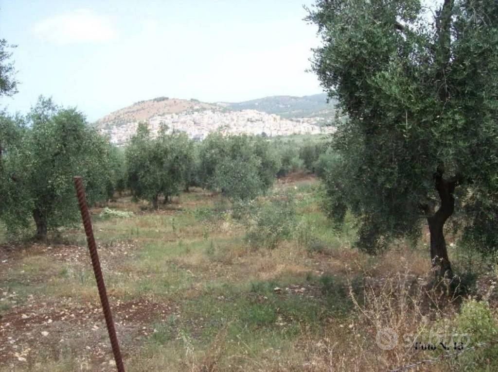 Immobile in asta di 10848 m² a Carpino - Vista 3