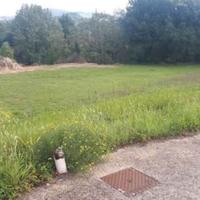 RGE 70/2021 - Tribunale di Urbino - Lotto 4