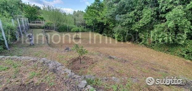 Terreno 1.000 mq a presa - Vista 4