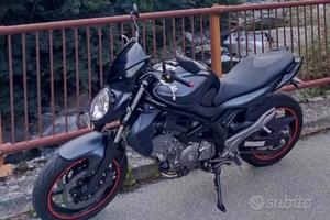 Suzuki Gladius 650