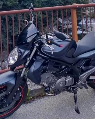 Suzuki Gladius 650