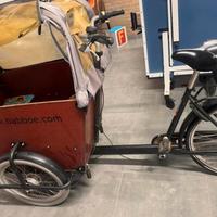 Cargo bike Babboe bike muscolare 