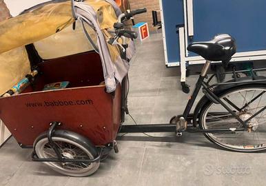 Cargo bike Babboe bike muscolare 