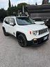 jeep-renegade-1-6-mjt-120-cv-limited