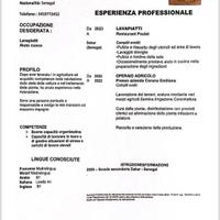 Lava piatti/ cameriere/ altro lavoro