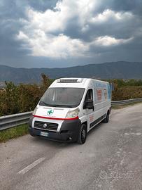 ducato 