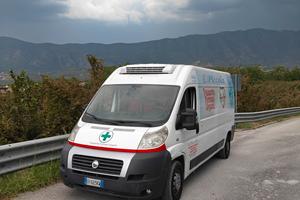 ducato 
