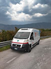 ducato 