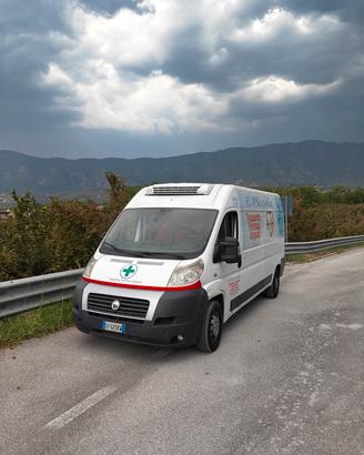 ducato 