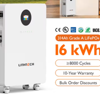 Batteria LiFePo4 UE da 8000 Cicli EMS 16kw accumul