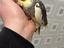 Immagine 3