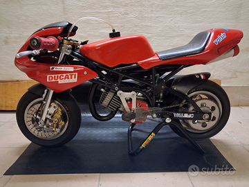 Minimoto Polini telaio DM