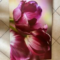 Articoli acquistabili - insieme o separatamente