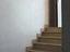 Immagine 10