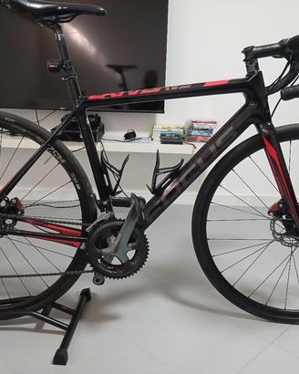 Focus cayo disc 