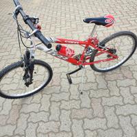 bici per ragazzo 