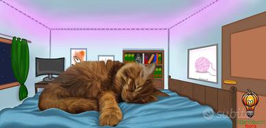 Artista, disegnatore, illustratore