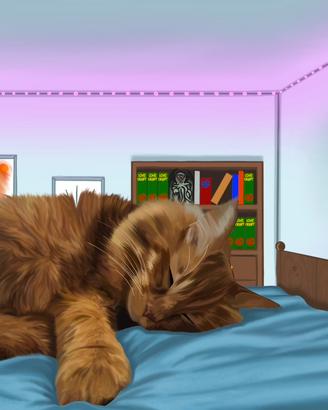 Artista, disegnatore, illustratore