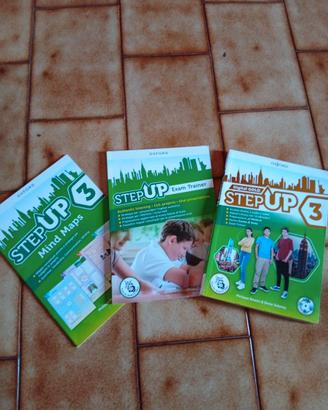 Libri scolastici usati: stepup 3 digital gold