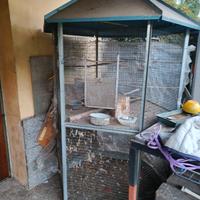 voliere sempre tenute al coperto