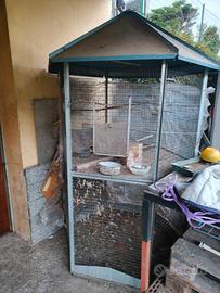 voliere sempre tenute al coperto