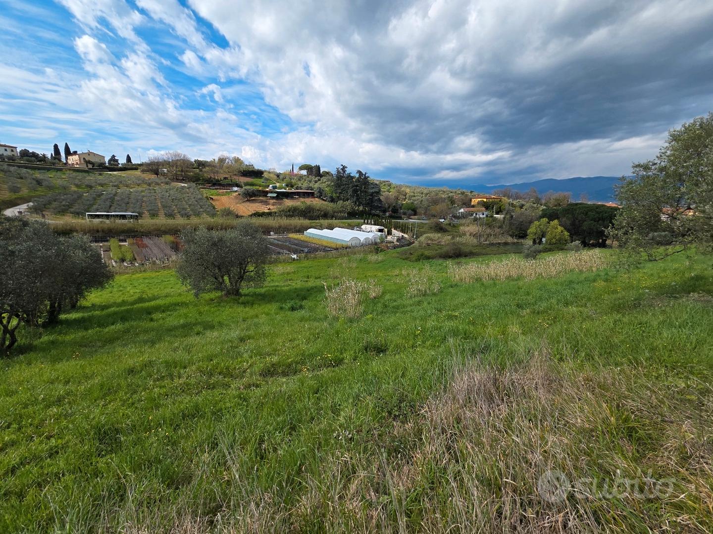 Terreno agricolo - oliveta - Altro