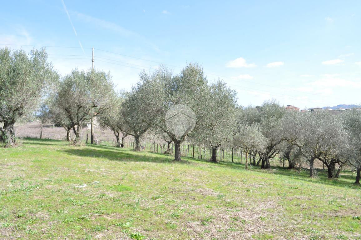 TER. AGRICOLO A ROMA - Vista 5