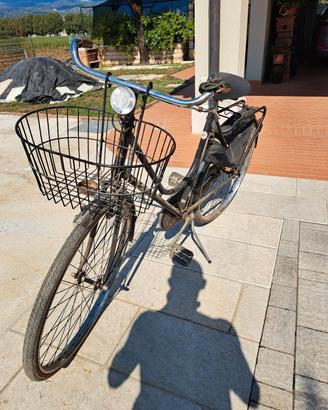 bicicletta donna