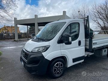 Fiat Ducato Max 8