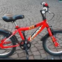 Bici bambino