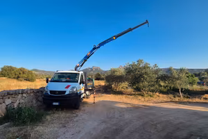 Camion con gru