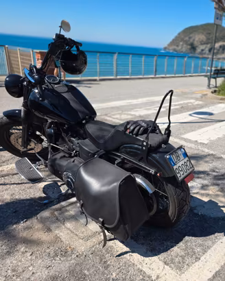 Dyna Street Bob  1584