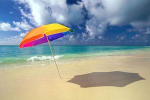 Rif.G249| attivita'/lic.commerciale chioggia