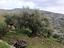 Immagine 6