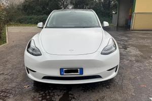 Testa model Y