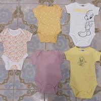 17 Body nuovi 0 - 6 mesi