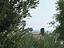 Immagine 30
