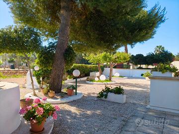 IN SALENTO appartamento vicinissimo alla SPIAG