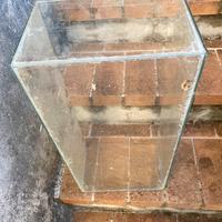 Acquario per tartaruga acqua