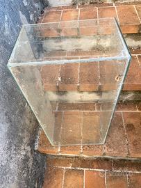 Acquario per tartaruga acqua