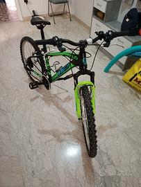 Bicicletta, ragazzo
