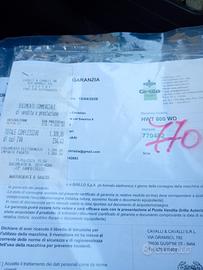 Decespugliatore professionale 