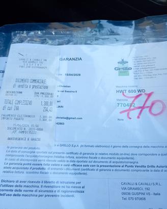 Decespugliatore professionale 