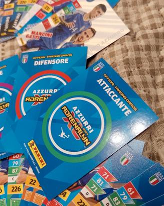Cards Azzurri Panini 2024