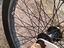 Immagine 5