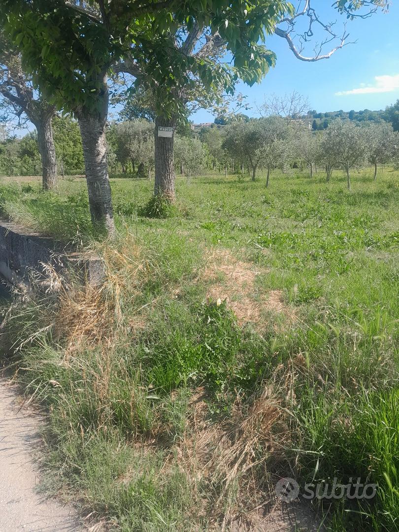 Terreno. Agticolo - Vista 3