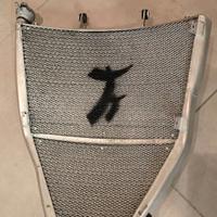 RADIATORE MOTO2 KALEX TALEO