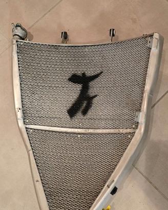 RADIATORE MOTO2 KALEX TALEO
