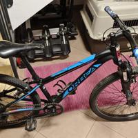 MTB Orbea 24